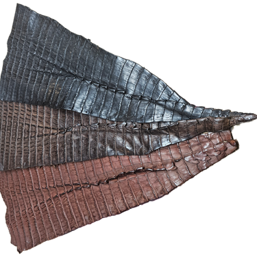 Caiman Tails – Exotic Leather