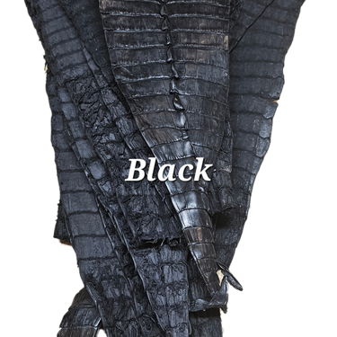 Caiman Tails – Exotic Leather