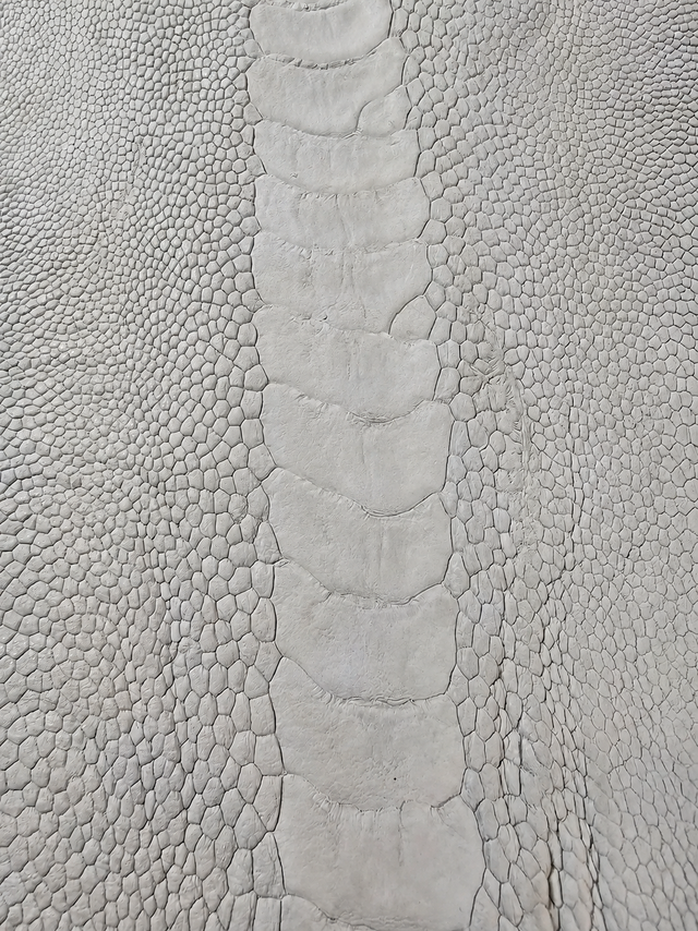 Natural Ostrich Leg