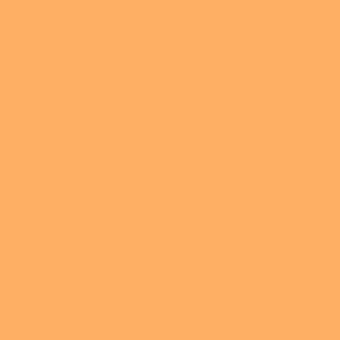 Alpha 6 Leather Paint–Orange Sherbet (1oz)