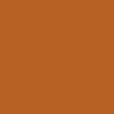 Alpha 6 Leather Paint–Burnt Orange (1oz)
